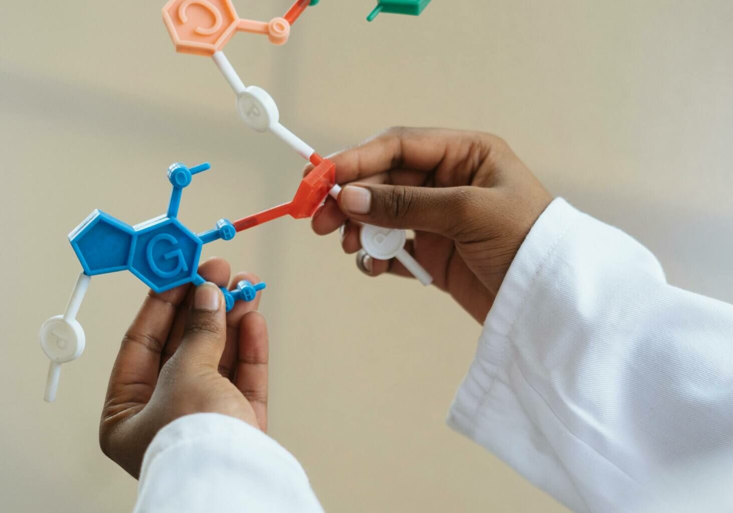 dna